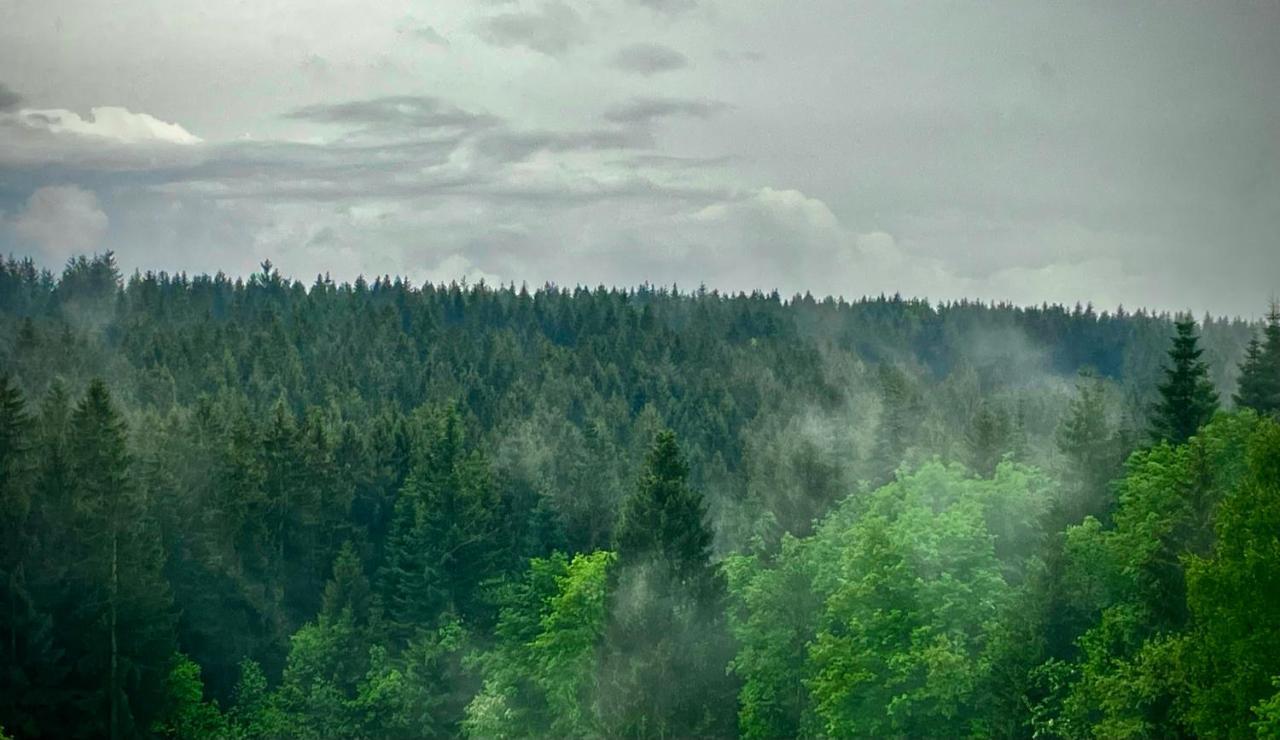 Ferienwohnung Harzurlaub Goslar Exteriér fotografie